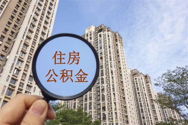 玉环辞职了补充公积金能取不（辞职后补充公积金如何提取）